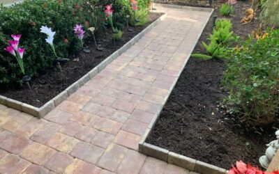 Paving & Concrete Contractor in Cape Coral & Fort Myers Beach